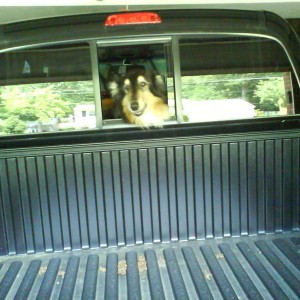 Eddie in the truck