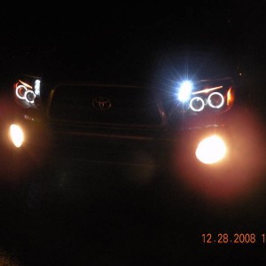 w/fogs
