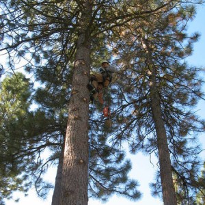 spur_climbing