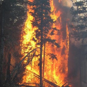fire