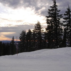 Timberline