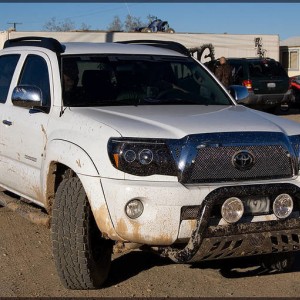 Muddy at Ocotillo