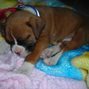 sleeping
