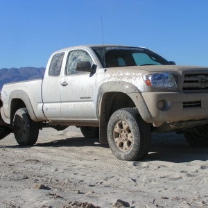 tacoma 08