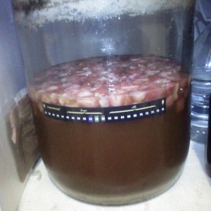 Strawberry Wheat Beer Brewing