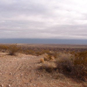 IM002410