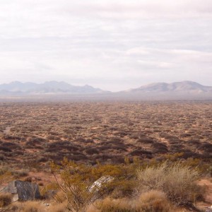 IM002409
