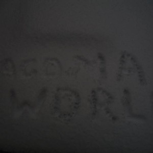 Tacomaworld Snow