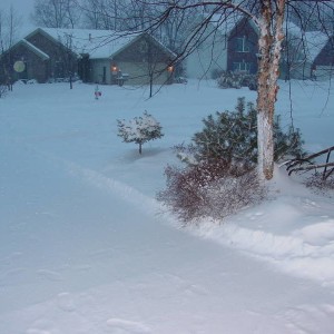 DSC04883