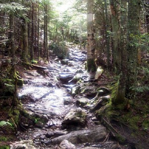 CH Hiking Trail Vermont