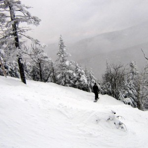 Bolton Valley Glades