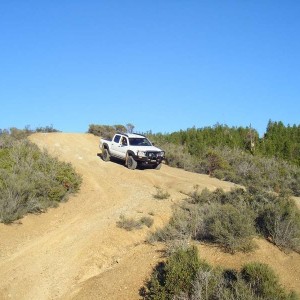 Elk Mtn Run 09