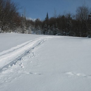 Single Track