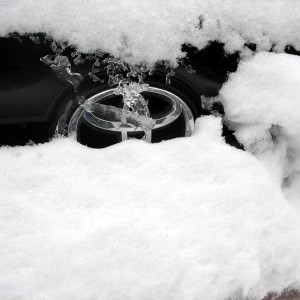 Peakin thru the morning snow