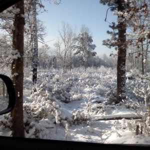 Pic0055