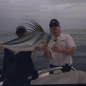 Roosterfish2
