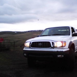 bluewood