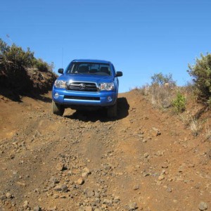 backside_025