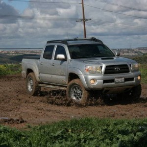 Otay Truck Trail 02/08/09