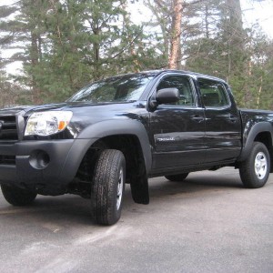 My Stock Taco