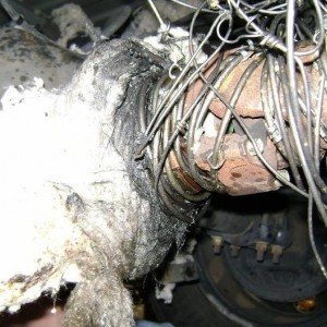 Drive Shaft Vibration