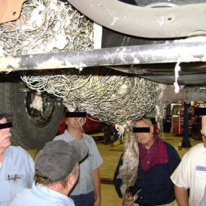 Drive Shaft Vibration