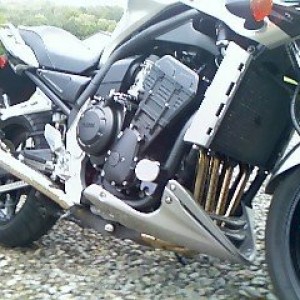 FZ1