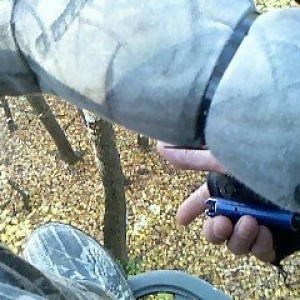 30 feet up...