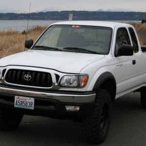 2003 Tacoma 6