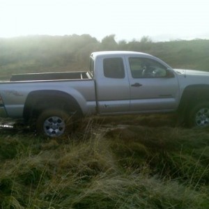 tacoma stuck