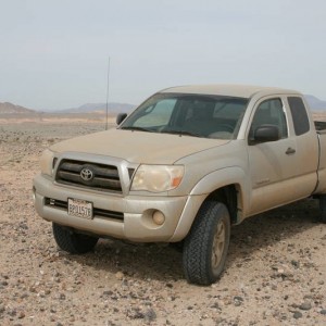Ocotillo