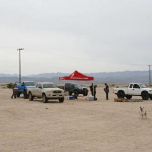 Ocotillo