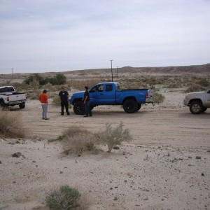 Ocotillo