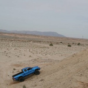 OcotilloFeb15099