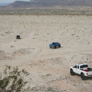 OcotilloFeb15053