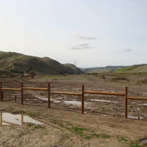 DSC04474