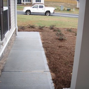 New_House1