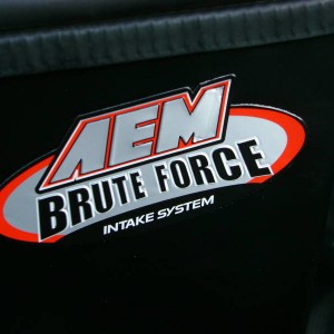 AEM Heat SHeild