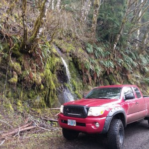 Storey Burn Rd