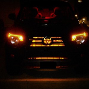 Horns At Night