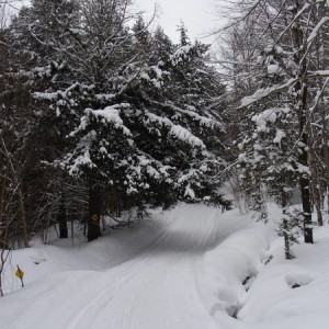 RT 100 Snowmobile Trail