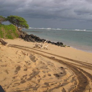 beach_shots_003