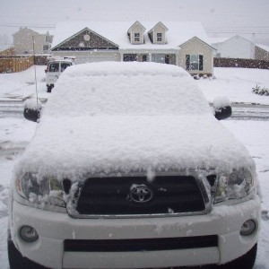 Snow 3-1-09