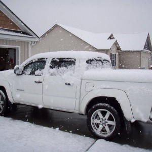 Snow 3-1-09
