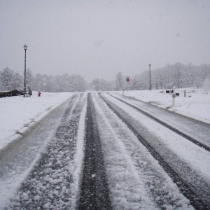 Snow 3-1-09