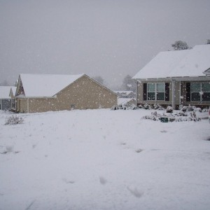 Snow 3-1-09
