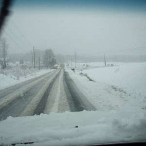 Snow 3-1-09