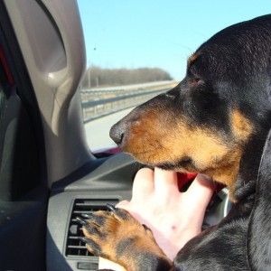 Sunday Drive