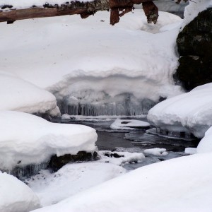 icy water brrr