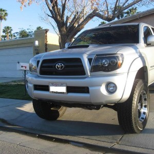 New Eyes for the Taco!